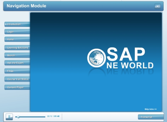 SAP Online Demo